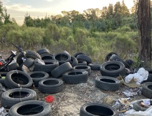 Image of more than 10 dumped tyres and other rubbish on backdrop of bushland